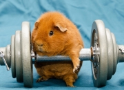 雷火电竞充值-控卫之神跨越时空的节奏交响—当凯尔特人遇见广东，保罗如何定义一场不存在的传奇对决