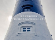 雷火电竞主播-枫叶之刃，2026世界杯F组，加拿大如何用贝林厄姆风暴撕碎瑞士防线