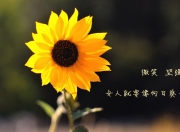 雷火电竞官网-当红潮席卷温哥华，厄瓜多尔用硬骨与灵性，在2026世界杯E组撕开一道天堑