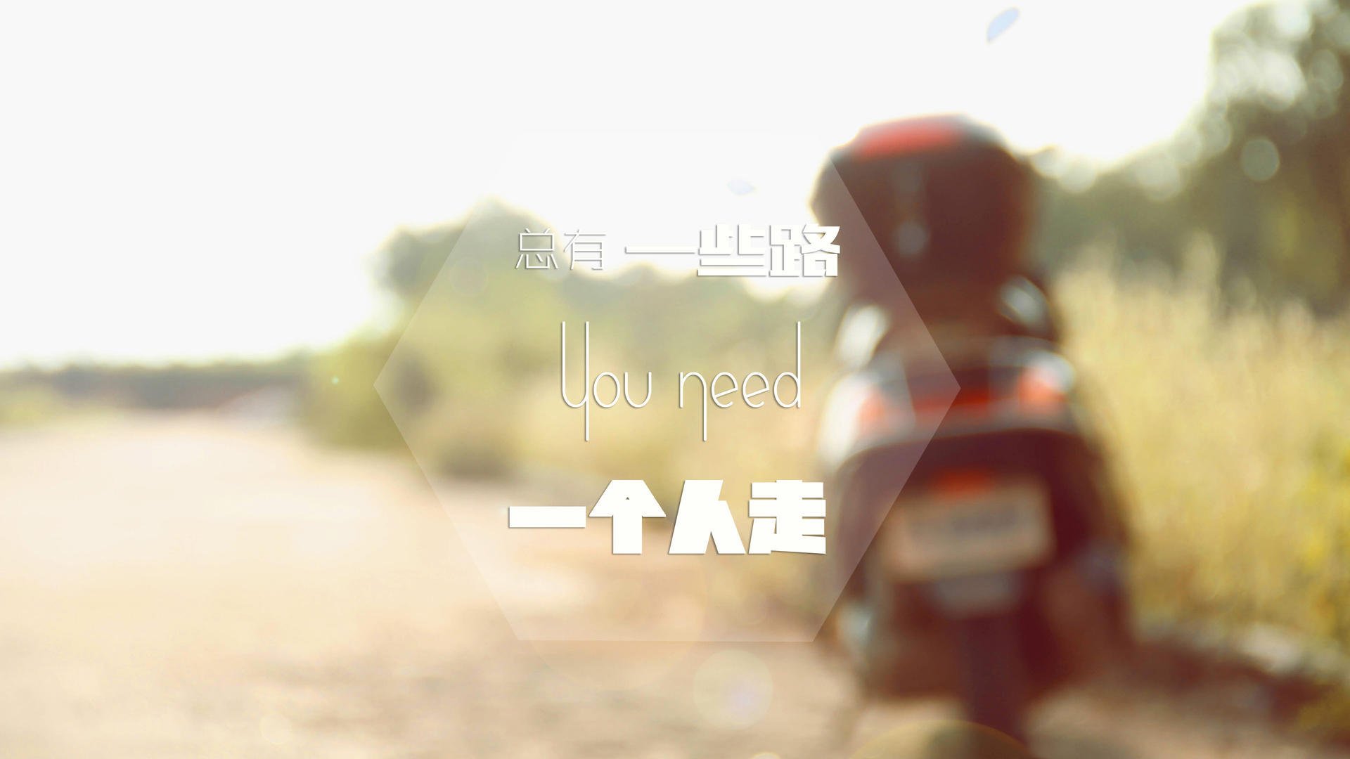 钢与翼的失衡，当魔术家武切维奇成为无解难题