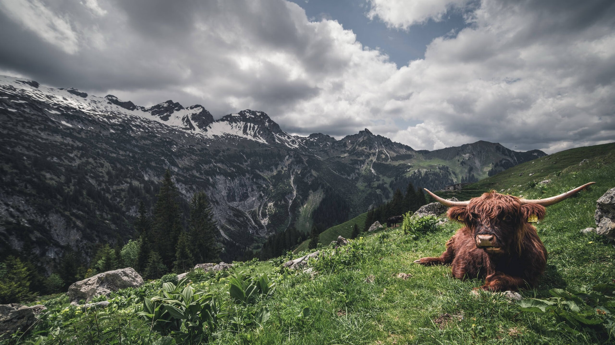 惊世一笔,萨卡如何为欧联史诗补上最后一抹黄金